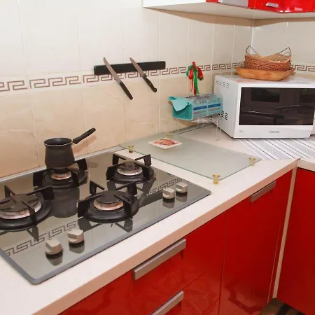 Central Apartments Lviv *