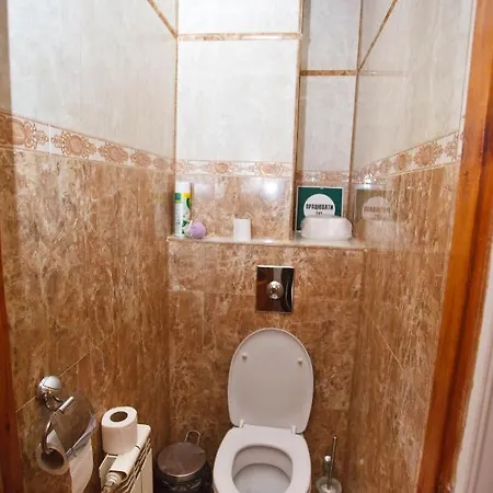 Central Apartments Lviv * 리비프